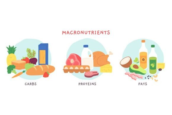 Food Macronutrients: Fat, Carbohydrate